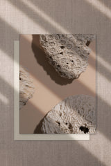 Coral greeting card Cove