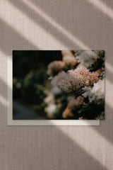 Lilac bush greeting card by Cove