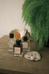 3 scent of Cove perfumes
